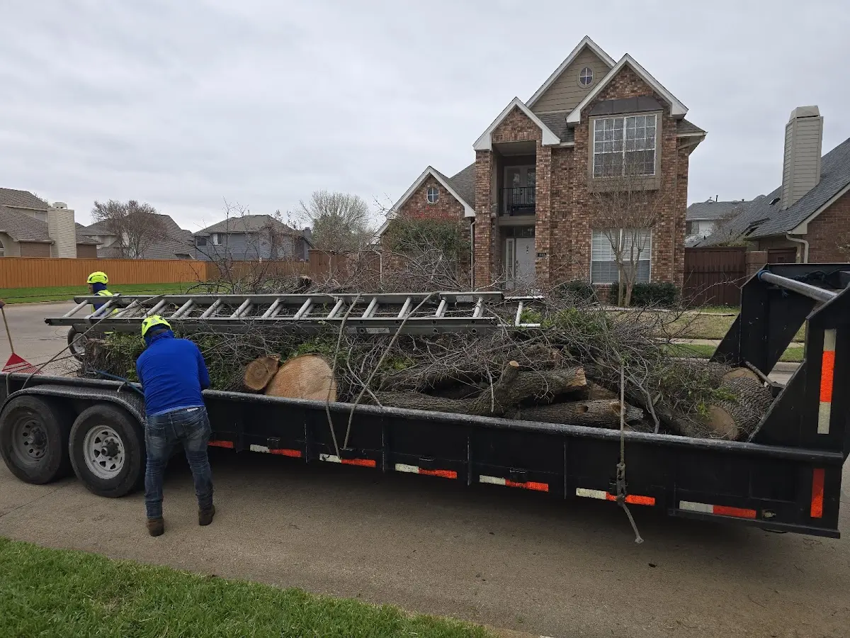Expert Tree Fertilization with proper safety equipment in Edwards